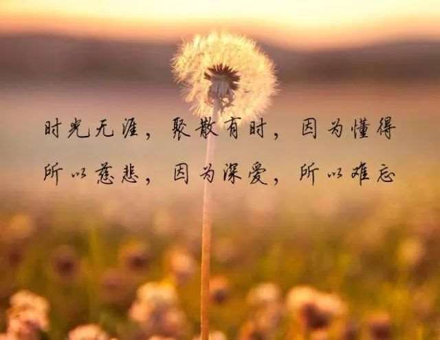 幸福的结局