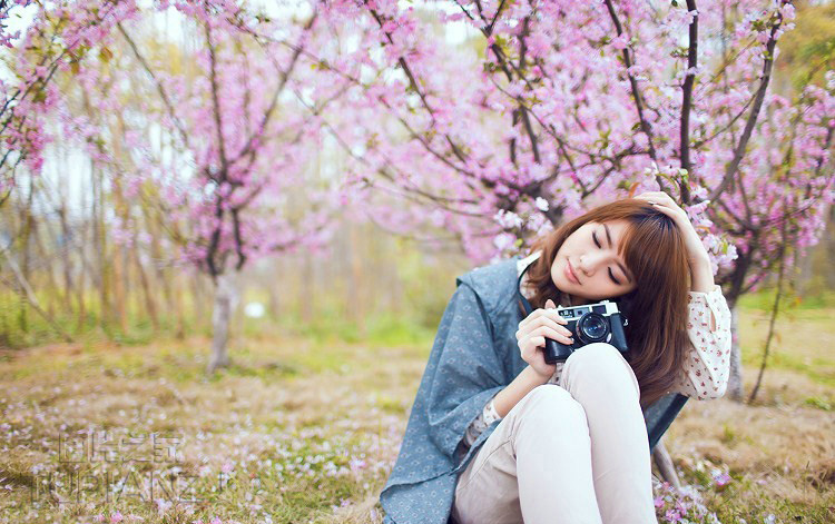 风月情浓，花开花落