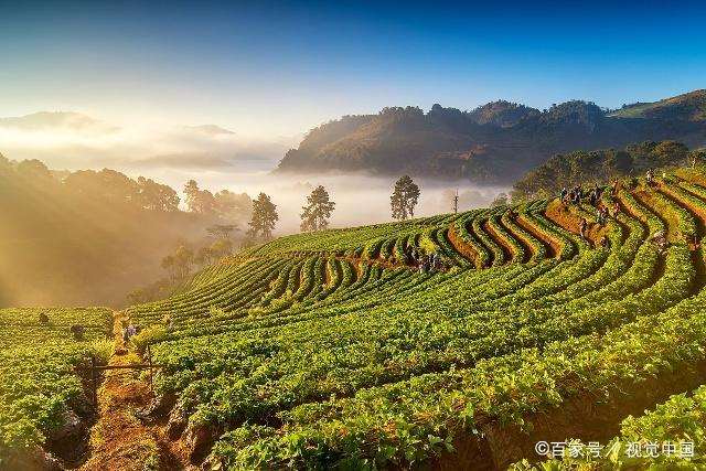 快乐地过好每一天