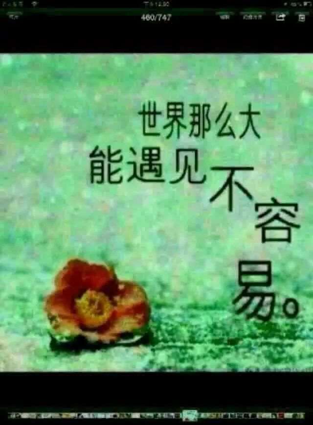 槐树沟，我童年的梦