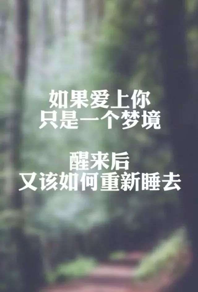 川行散记之一空中云海散文欣赏