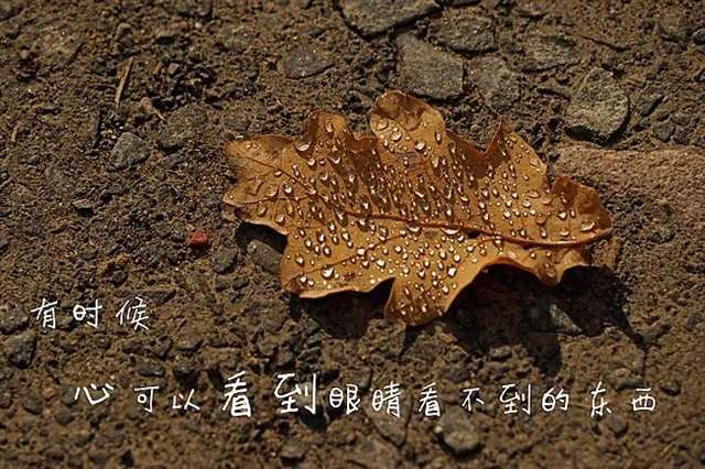 一个感人的故事