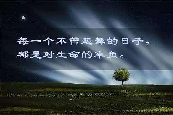 互联网竞争的利器就是快。雷军语录