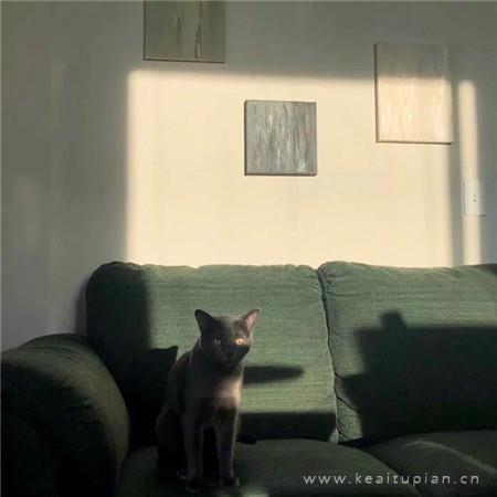 宫崎骏经典动画哲理语录
