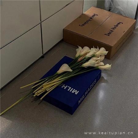 新三国幽默搞笑我真是赔了夫人又折兵