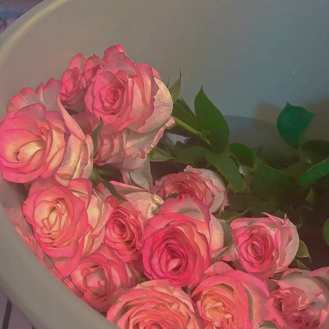 优美的励志句子