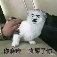 怀念丽江