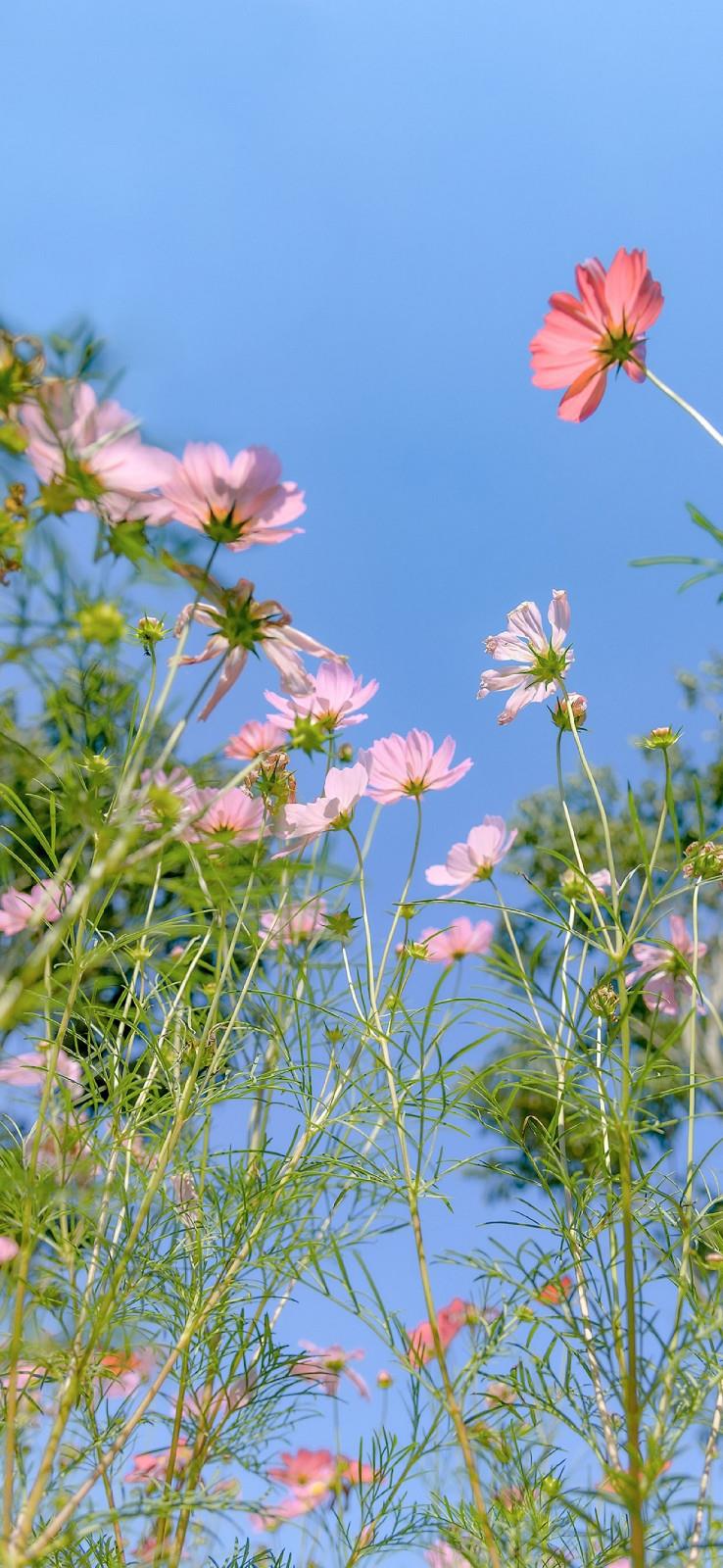 夏末秋初，结束的两场幸福