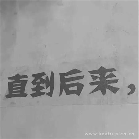赠你一架爱情的天梯