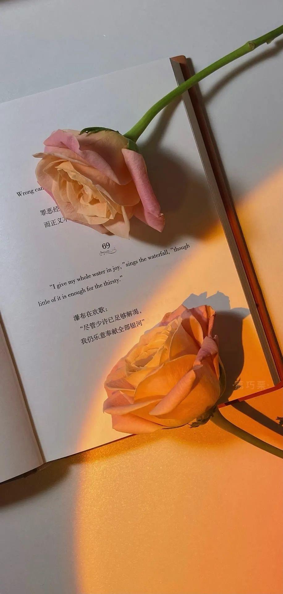 不做两只捆绑的小鸟
