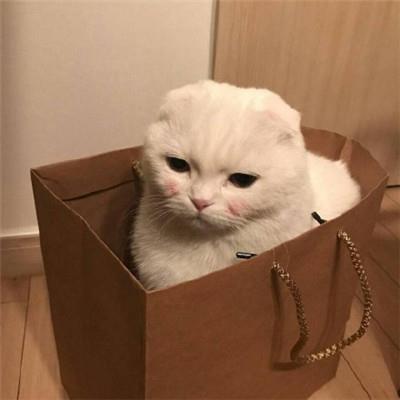 鬼爸爸的爱