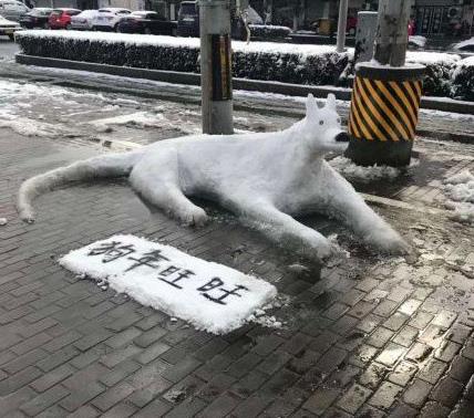 离体13天