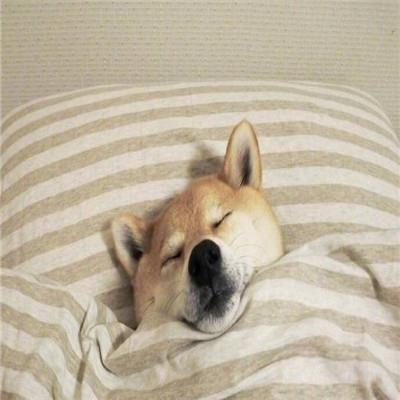 致命的诱惑