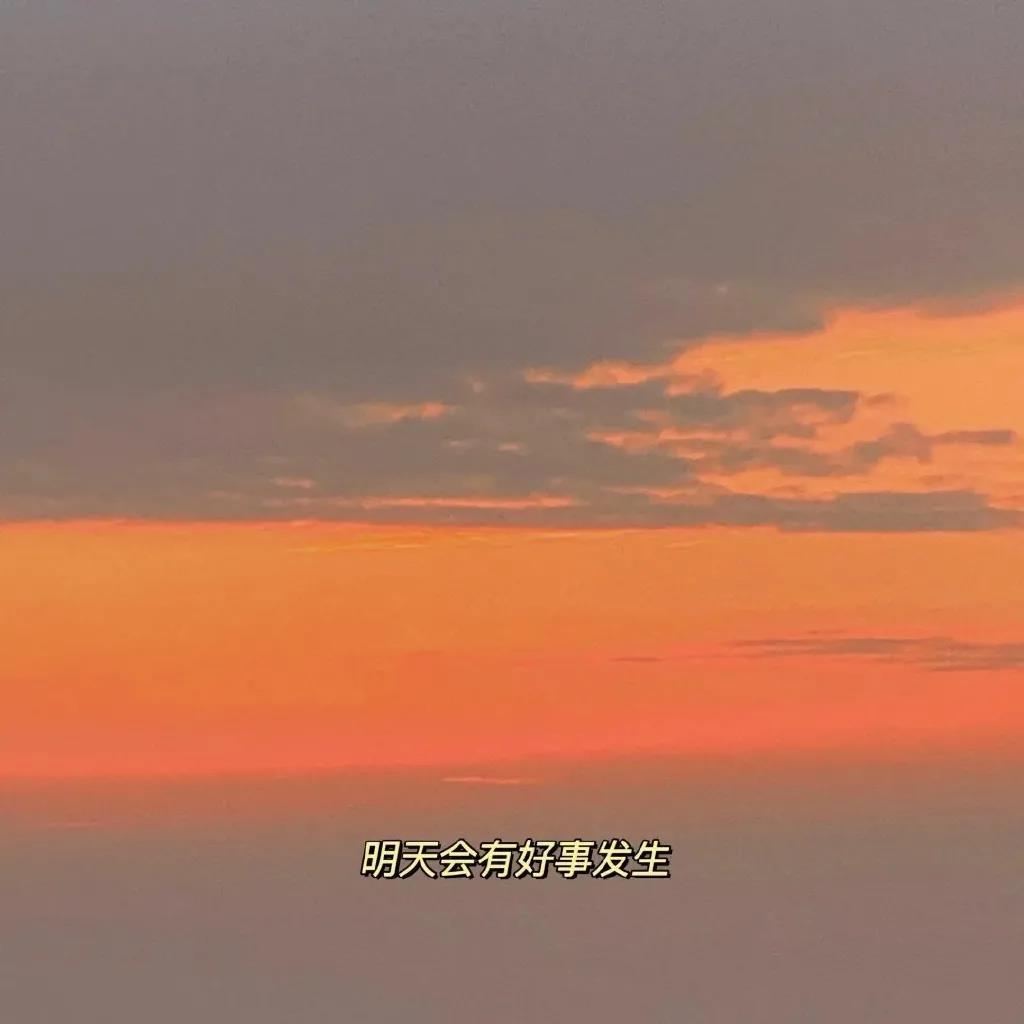 扎着蝴蝶结的你