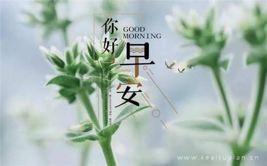动漫经典语录 动漫经典语录震撼人心