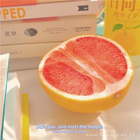 怎见浮生不若梦