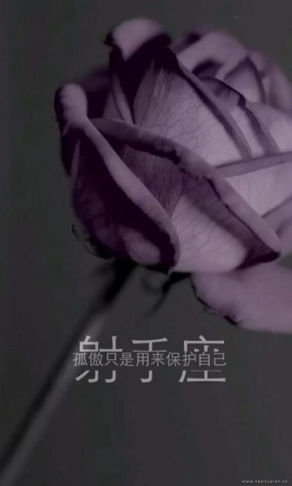 给自己打气的励志名言警句_励志句子