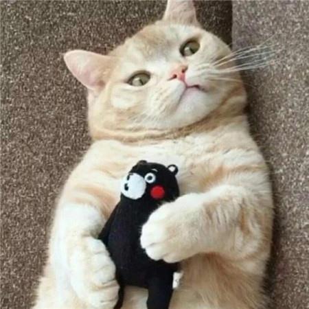 一个坏男生和一个坏女生