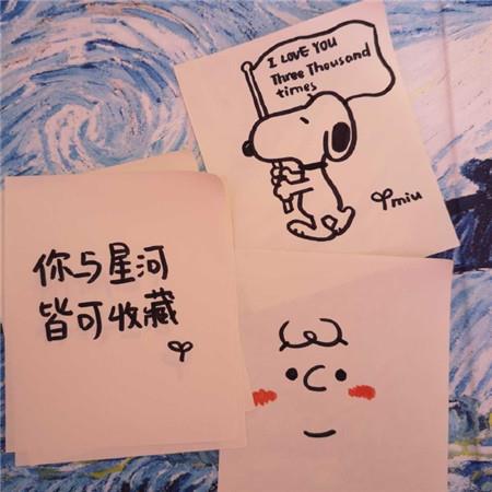一只天鹅的爱情