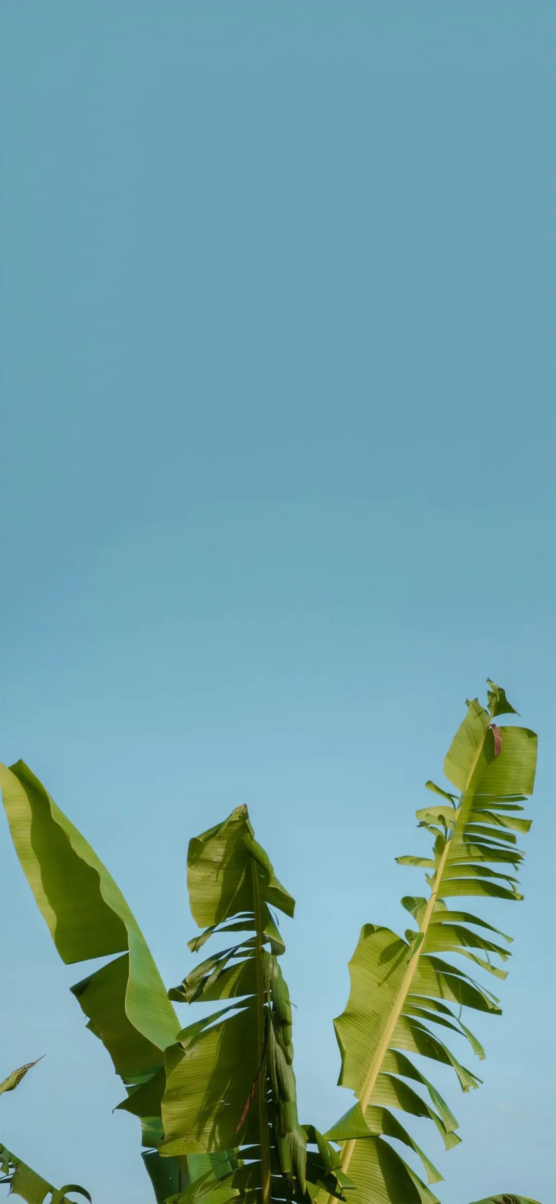 没有人贫穷