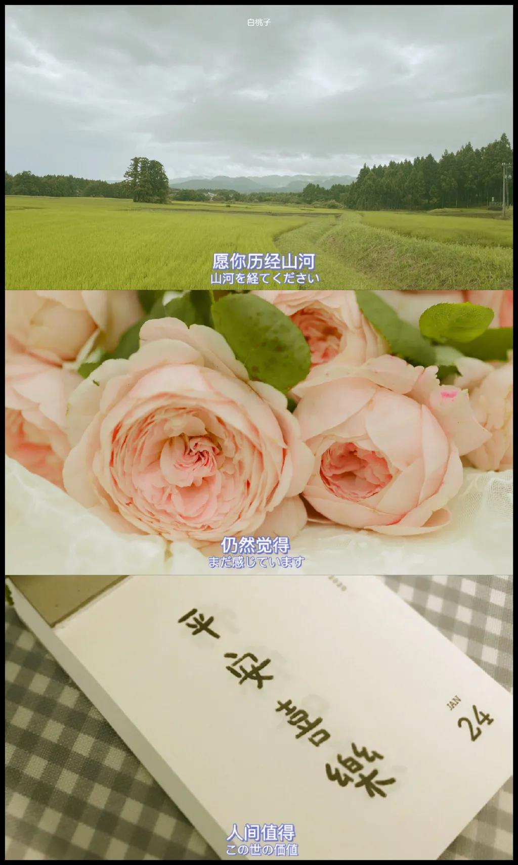不诺予你多情深，只许你一个唯一