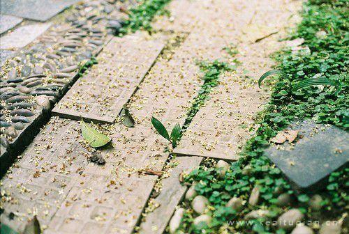 秋风细雨送君去