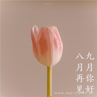 我的二婆