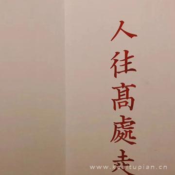 大学毕业离别感想