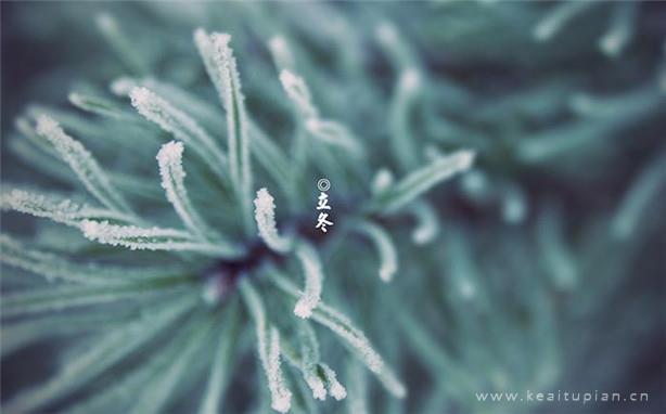 月有闲言，夜还碎语