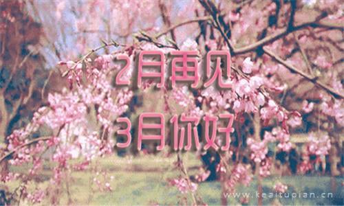 安东尼经典语录、兔子安东尼经典语录语句