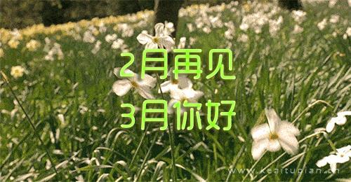 丁氏怪谈之回家路