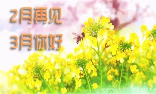人生是一场苦旅，我们一边感受，一边修行。