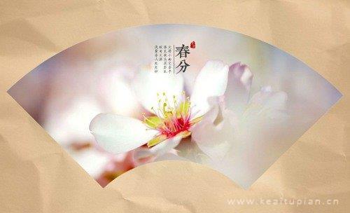 一个人，不行吗？