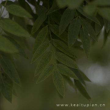 佛说感悟人生的哲理句子/佛语语录
