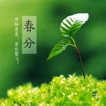 结婚就是一起睡觉的幸福