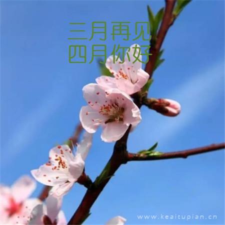 关于春节的唯美诗句/春节短句