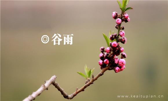 禅语感悟人生的句子,禅语人生格言
