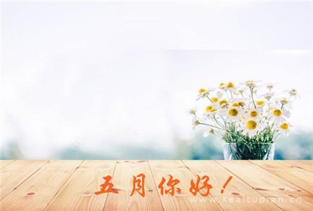 100句励志的句子致自己简短