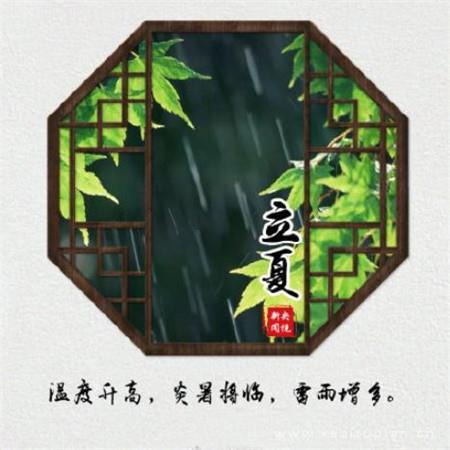 初恋情缘