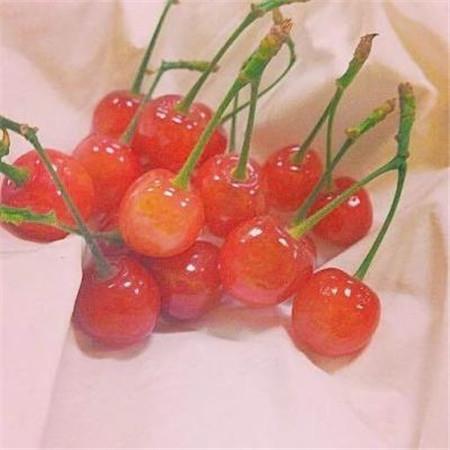 一组非常励志的文字 献给正在迷茫中的你
