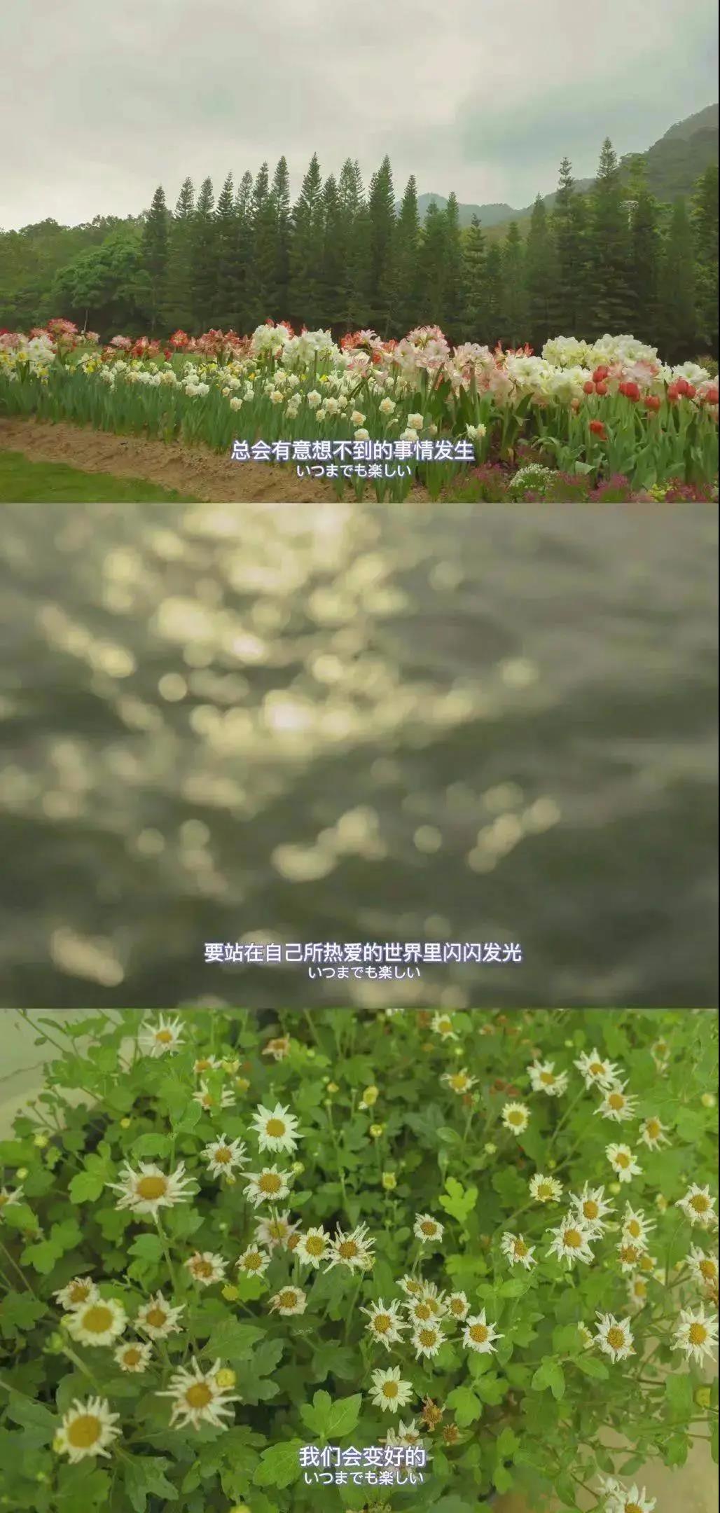 买酱油的故事
