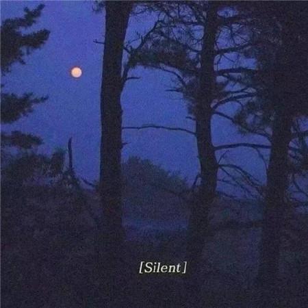 悬挂花瓶唯美图片_来自花瓶的意境美