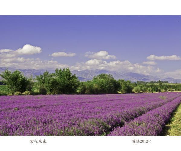 当你老了，一生最后悔什么