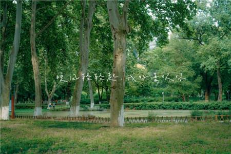 此岸，彼岸