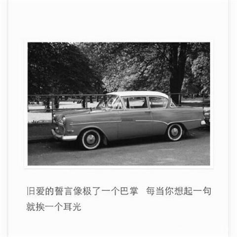 青春没有失败