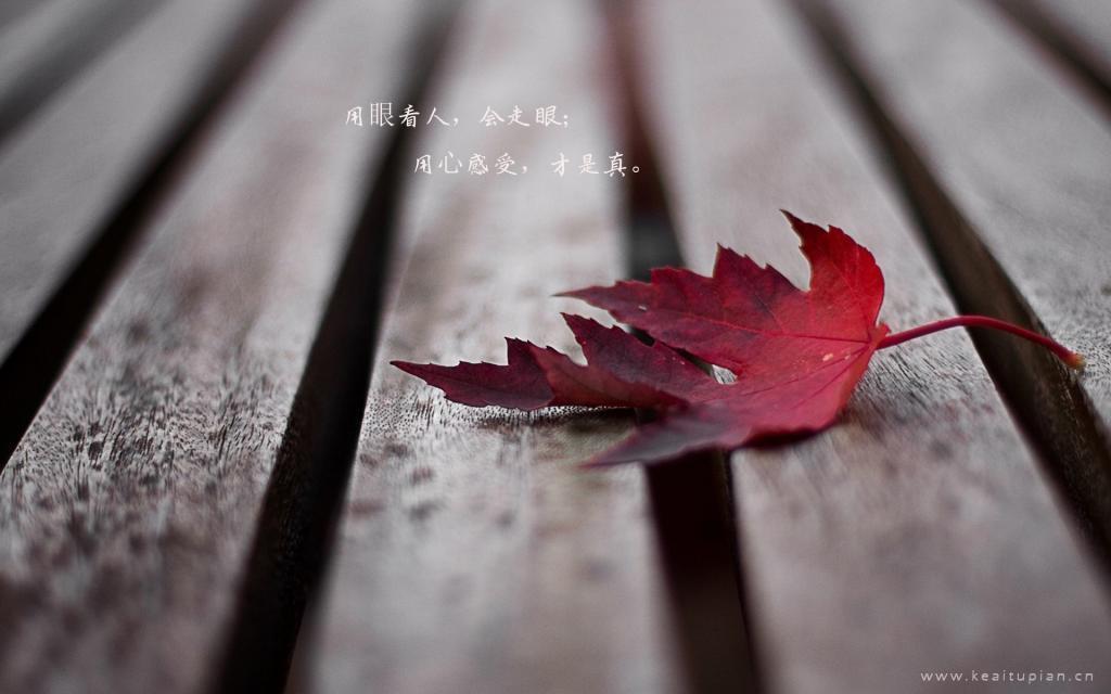 无果之恋