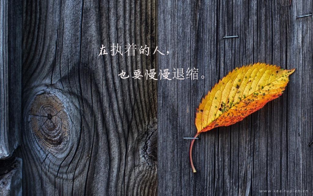 再见了，隔壁家的坏男孩_1