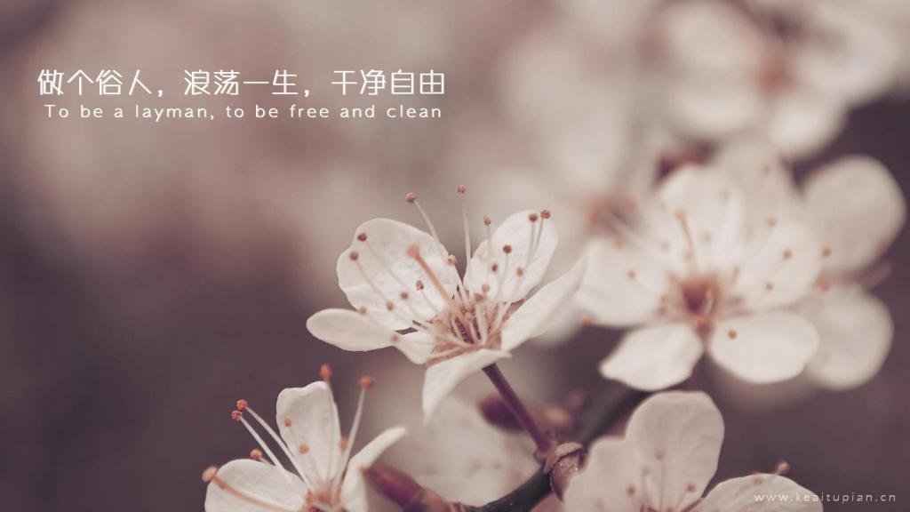 你是我的安好晴天