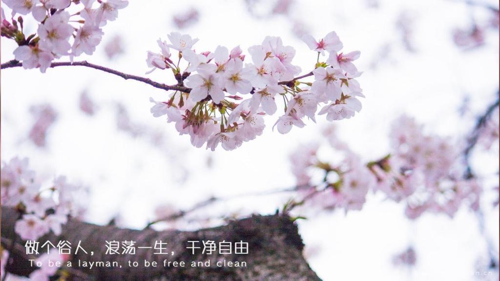 一对沉默寡言人