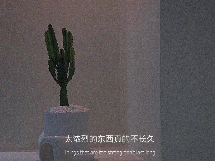 真诚的友谊，是一潭纯净的湖水